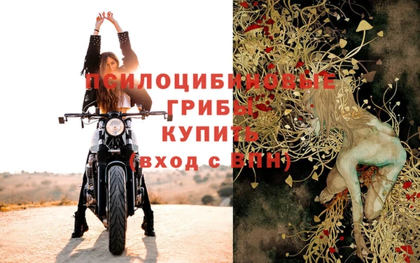 твердый Няндома