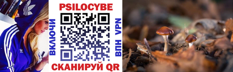 Псилоцибиновые грибы MAGIC MUSHROOMS  Ковдор 
